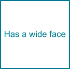 Has a wide face