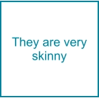 They are very skinny