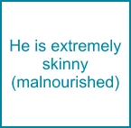 He is extremely skinny (malnourished)