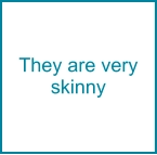 They are very skinny