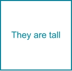 They are tall