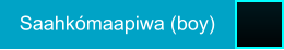 Saahkómaapiwa (boy)