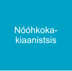 Nóóhkoka-kiaanistsis