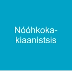 Nóóhkoka-kiaanistsis