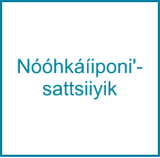 Nóóhkáíiponi'-sattsiiyik