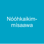 Nóóhkaikim-mísaawa