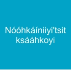 Nóóhkáíniiyi'tsit ksááhkoyi