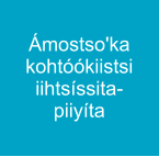 Ámostso'ka kohtóókiistsi iihtsíssita-piiyíta