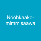 Nóóhkaako-mimmisaawa