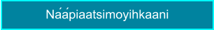 Náápiaatsimoyihkaani