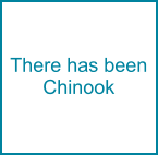 There has been Chinook