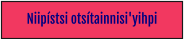 Niipístsi otsítainnisi'yihpi