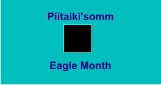 Píítaiki'somm Eagle Month