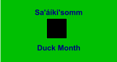 Sa'áíki'somm Duck Month