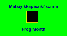 Mátsiyikkapisaiki'somm Frog Month