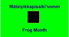 Mátsiyikkapisaiki'somm Frog Month