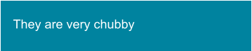 They are very chubby