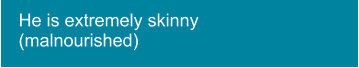 He is extremely skinny  (malnourished)