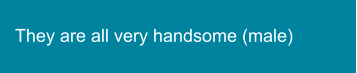 They are all very handsome (male)