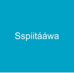 Sspiitááwa