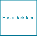 Has a dark face