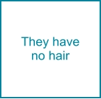 They have no hair