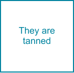 They are tanned