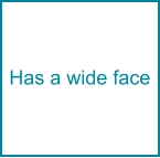 Has a wide face