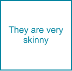 They are very skinny