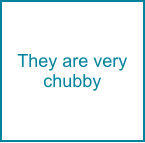 They are very chubby