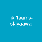 Iikí'taams-skiyaawa