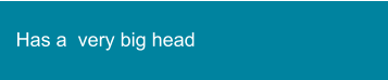 Has a  very big head