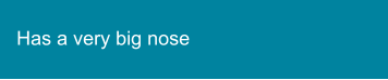 Has a very big nose