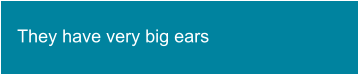 They have very big ears