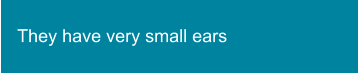 They have very small ears