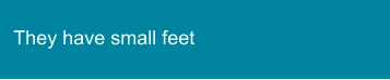 They have small feet