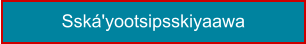 Sská'yootsipsskiyaawa