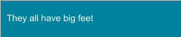 They all have big feet