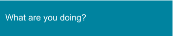 What are you doing?
