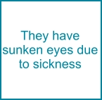 They have sunken eyes due to sickness