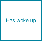 Has woke up
