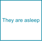 They are asleep