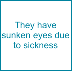 They have sunken eyes due to sickness