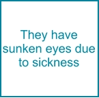 They have sunken eyes due to sickness