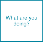 What are you doing?