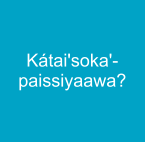 Kátai'soka'-paissiyaawa?