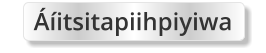 Áíitsitapiihpiyiwa