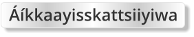 Áíkkaayisskattsiiyiwa