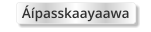 Áípasskaayaawa