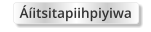Áíitsitapiihpiyiwa